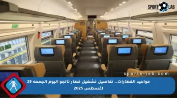 مواعيد القطارات.. تفاصيل تشغيل قطار تالجو اليوم الجمعة 29 أغسطس 2025